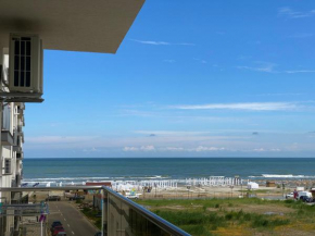 ALEMAR ROYAL 2, Mamaia